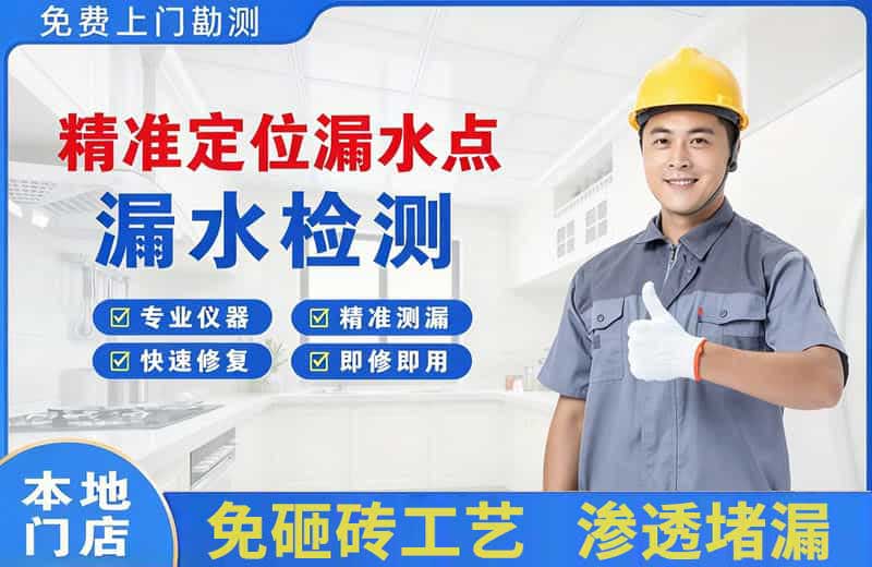 庐山精准测漏点